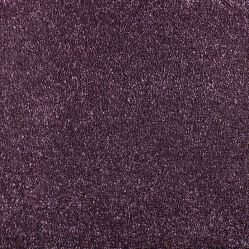 Purple Carpet Tapi Carpets & Flooring